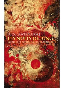 Les nuits de jung - mystique et psychologie du livre rouge