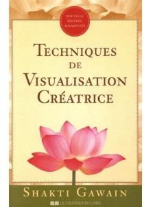 Techniques de Visualisation Créatrice