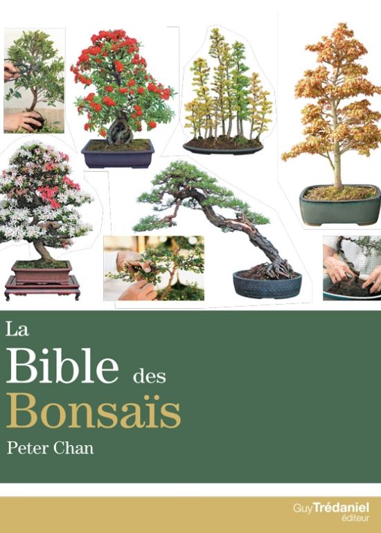 La Bible des bonsaïs