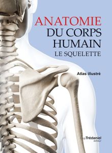 Anatomie du corps humain, le squelette