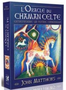 L'oracle du chamane celte